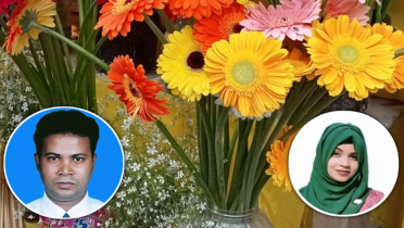 চা পাতার নির্যাসে ‘জারবেরা’র জীবনকাল বাড়বে দ্বিগুণ