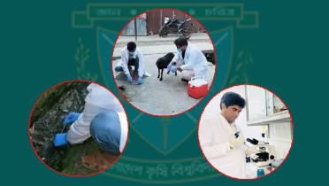 বস্তিতে মানুষ-প্রাণীর দেহে অন্ত্রপরজীবী সংক্রমণ