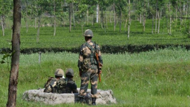 বাংলাদেশি কৃষককে ধরে নিয়ে গেছে বিএসএফ