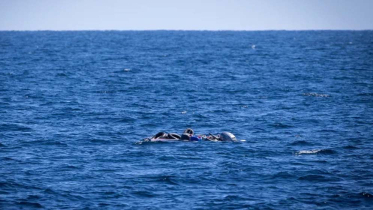 লিবিয়া উপকূলে নৌকাডুবে শিশুসহ ৫৩ প্রাণহানী