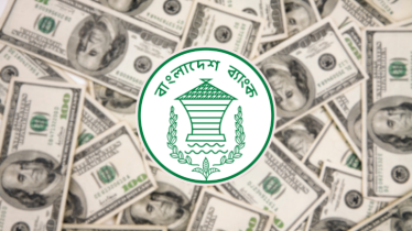 দেশের রিজার্ভ বেড়ে ৩১.৪৩ বিলিয়ন ডলার