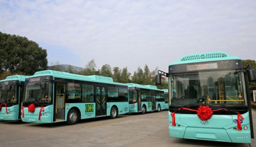 ইসলামাবাদে গণপরিবহনের ভাড়া ফ্রি ঘোষণা