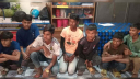 জাল ভোট দেয়ার চেষ্টায় আটক ৭ কিশোর 