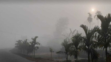 তীব্র শীতের আভাস, আসছে ৫ শৈত্যপ্রবাহ তীব্র শীতের আভাস, আসছে ৫ শৈত্যপ্রবাহ