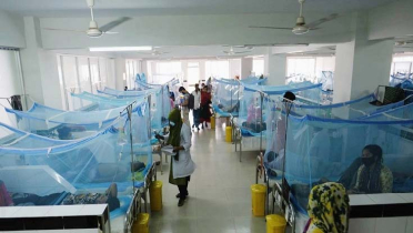 ডেঙ্গুতে আক্রান্ত হয়ে হাসপাতালে ভর্তি ২৯ জন