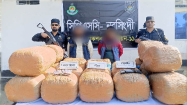 র‍্যাবের অভিযানে গাঁজাসহ আটক ২