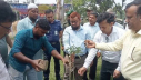 গাইবান্ধায় বৃক্ষরোপন কার্যক্রমের উদ্বোধন 