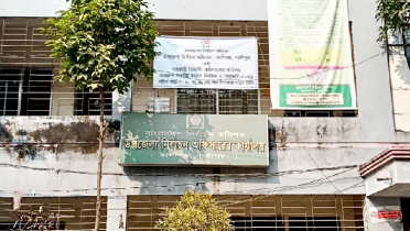 সুযোগ নাকি নতুন বিতর্ক, জয়-পরাজয়ে প্রভাব ফেলবে পোস্টাল ভোট