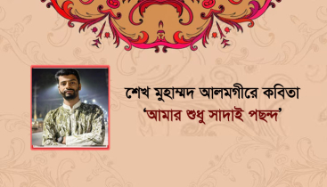 শেখ মুহাম্মদ আলমগীরের কবিতা ‘আমার শুধু সাদাই পছন্দ’