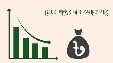 দাম কমতে পারে যেসব পণ্যের 