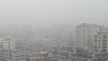 শীত নিয়ে নতুন বার্তা 