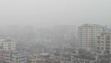 ‘মাঘের শীতে বাঘ কাঁদে’