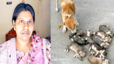 পানিতে চুবিয়ে কুকুরছানা হত্যা, অভিযুক্ত নারী গ্রেফতার