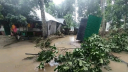 ফেনীতে কমছে বন্যার পানি, ভেসে উঠছে ক্ষতচিহ্ন