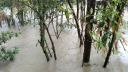ফেনীতে একদিনে রেকর্ড বৃষ্টি, ঝরতে পারে শনিবারেও
