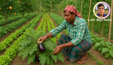 ‘শাকসবজি-ফল উৎপাদনে গবেষণার নবদিগন্ত’