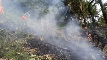 ভারতের উত্তরাখন্ডে হেলিকপ্টার বিধ্বস্ত