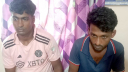 মরা গরু পাচারের দায়ে দুই জনের কারাদণ্ড