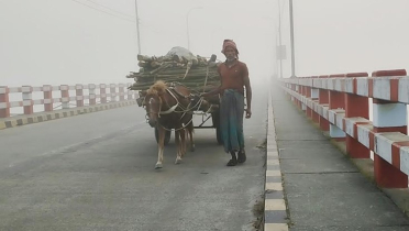কুড়িগ্রামে ঘন কুয়াশায় শীতের আগমনী বার্তা