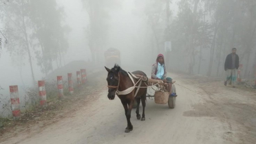 তীব্র শীতে কাঁপছে কুড়িগ্রাম তীব্র শীতে কাঁপছে কুড়িগ্রাম