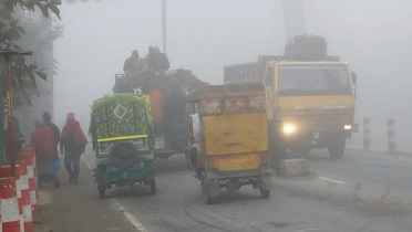 শীতে জবুথবু মানুষসহ প্রাণিকুল