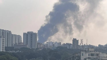 প্লাস্টিক কারখানায় ভয়াবহ আগুন