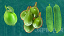 কমলেও নাগালে আসেনি লেবু-শসা-বেগুনের দাম