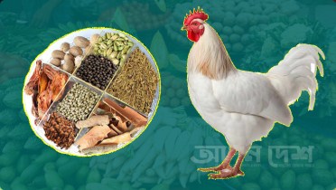 কাঁচাবাজারে কিছুটা স্বস্তি, মুরগির দাম বাড়তি