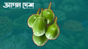 বেগুনে আগুন, সবজি কিনতেই পকেট ফাঁকা হচ্ছে