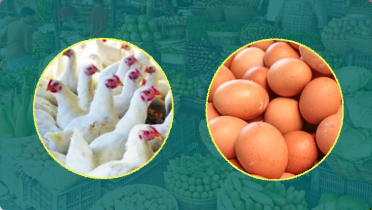 অবশেষে সবজিতে স্বস্তি ফিরছে, কমেছে মুরগি-ডিমের দাম অবশেষে সবজিতে স্বস্তি ফিরছে, কমেছে মুরগি-ডিমের দাম