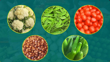 সরবরাহ বাড়লেও দাম কমেনি শীতকালীন সবজির