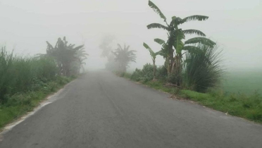 নীলফামারীতে শীতের দাপট বাড়ছে নীলফামারীতে শীতের দাপট বাড়ছে