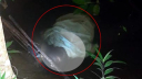 গাঁজা সেবন করে দুই বন্ধুর ঝগড়া, অতপর..