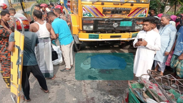 ট্রাক চাপায় নিহত ৬, চালক গ্রেফতার