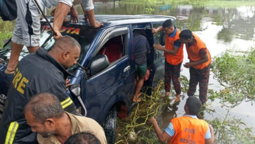 প্রবাসীকে নিয়ে মাইক্রোবাস খালে, একই পরিবারের ৭ জন নিহত