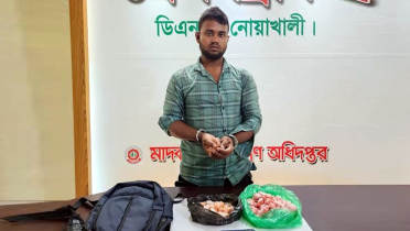 ৮০০০ পিস ইয়াবাসহ মাদক কারবারি গ্রেফতার