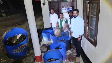পরিত্যক্ত ঘর থেকে ৪২৫ কচ্ছপ উদ্ধার