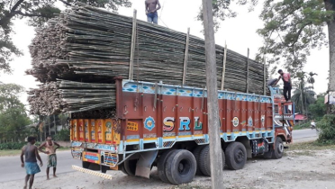 ট্রাকের ধাক্কায় অটোভ্যান উল্টে স্কুলশিক্ষার্থীসহ নিহত ৩ ট্রাকের ধাক্কায় অটোভ্যান উল্টে স্কুলশিক্ষার্থীসহ নিহত ৩