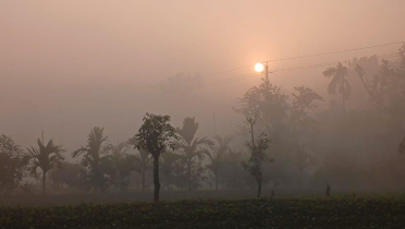 উত্তরে কমেছে শীত, বাড়ছে তাপমাত্রা উত্তরে কমেছে শীত, বাড়ছে তাপমাত্রা
