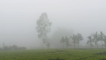 কুয়াশা-হিমেল হাওয়ায় নাকাল শ্রমজীবীরা কুয়াশা-হিমেল হাওয়ায় নাকাল শ্রমজীবীরা