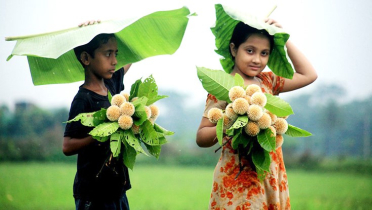 আজ পহেলা আষাঢ়