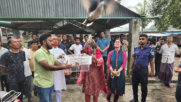 খাঁচায় বন্দী ২০০ ঘুঘু অবমুক্ত ভ্রাম্যমাণ আদালতের