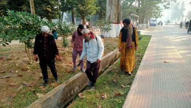 রাবি ক্যাম্পাসে মশক নিধন কর্মসূচি 