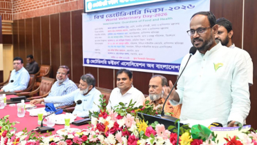 ‘প্রাণিসম্পদ খাত শক্তিশালী হলে অর্থনীতি মজবুত হবে’