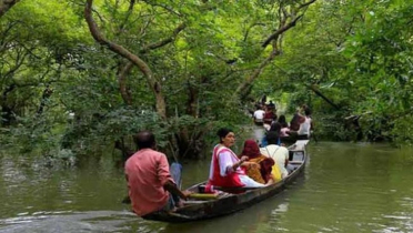 হুমকির মুখে টাঙ্গুগুয়ার হাওরে জীববৈচিত্র্য