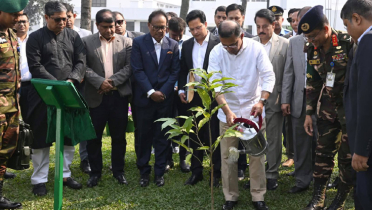 কার্যালয় চত্বরে গাছ লাগালেন তারেক রহমান