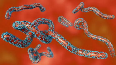 ফের চোখ রাঙাচ্ছে প্রাণঘাতী ছোঁয়াচে ভাইরাস ফের চোখ রাঙাচ্ছে প্রাণঘাতী ছোঁয়াচে ভাইরাস