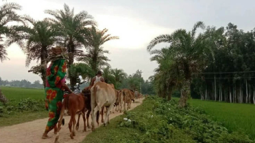 তাপমাত্রা নিয়ে নতুন বার্তা তাপমাত্রা নিয়ে নতুন বার্তা
