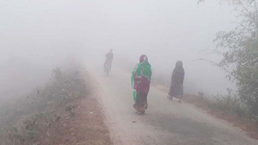পঞ্চগড়ে তাপমাত্রা ৭ ডিগ্রির ঘরে, জনজীবন স্থবির