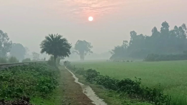 হেমন্তেই শীতের আগমনী বার্তা হেমন্তেই শীতের আগমনী বার্তা